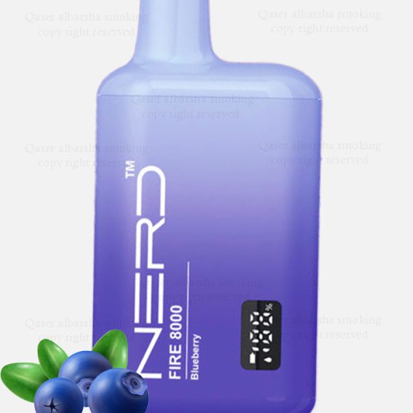 Blueberry Nerd 8000Puffs 2%